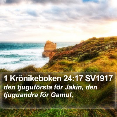 1 Krönikeboken 24:17 SV1917 Bible Verse Image