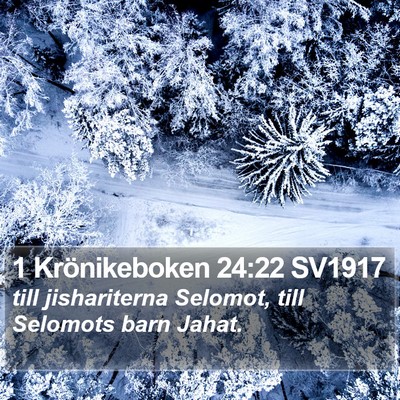 1 Krönikeboken 24:22 SV1917 Bible Verse Image