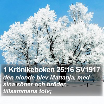 1 Krönikeboken 25:16 SV1917 Bible Verse Image