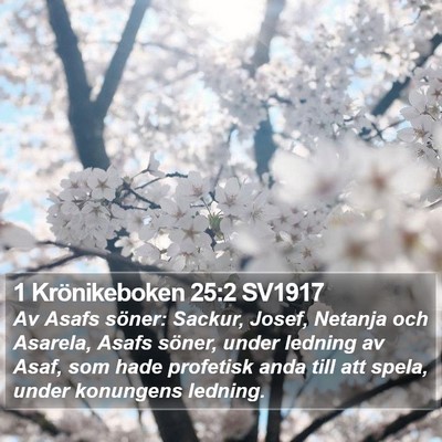 1 Krönikeboken 25:2 SV1917 Bible Verse Image