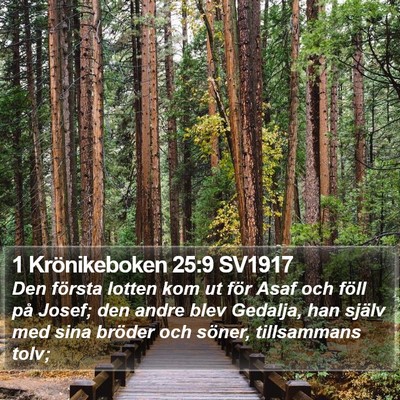 1 Krönikeboken 25:9 SV1917 Bible Verse Image