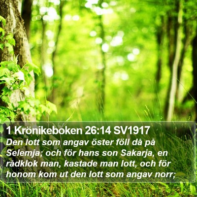 1 Krönikeboken 26:14 SV1917 Bible Verse Image