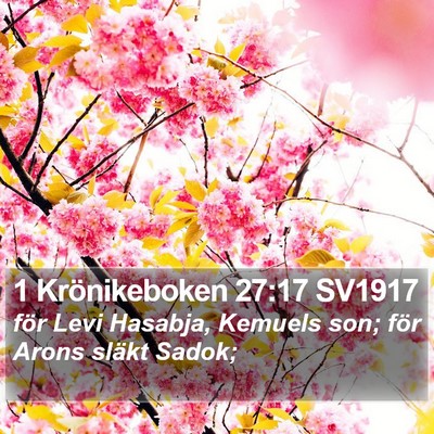 1 Krönikeboken 27:17 SV1917 Bible Verse Image