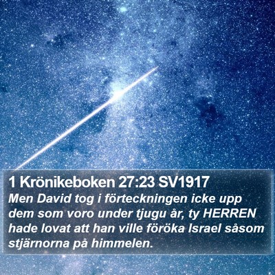 1 Krönikeboken 27:23 SV1917 Bible Verse Image