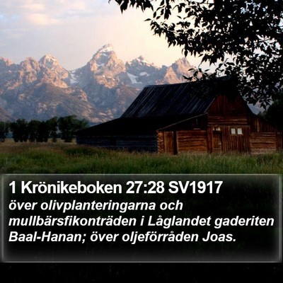 1 Krönikeboken 27:28 SV1917 Bible Verse Image