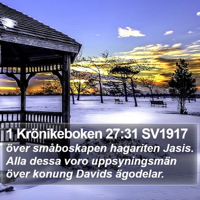 1 Krönikeboken 27:31 SV1917 Bible Verse Image