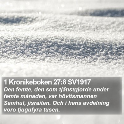 1 Krönikeboken 27:8 SV1917 Bible Verse Image