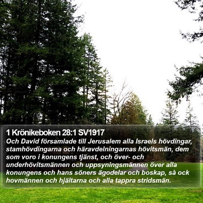 1 Krönikeboken 28:1 SV1917 Bible Verse Image