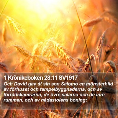 1 Krönikeboken 28:11 SV1917 Bible Verse Image