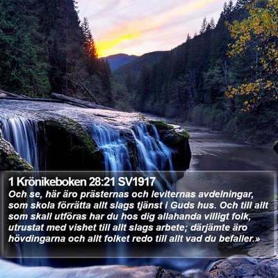 1 Krönikeboken 28:21 SV1917 Bible Verse Image