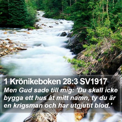 1 Krönikeboken 28:3 SV1917 Bible Verse Image