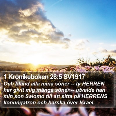1 Krönikeboken 28:5 SV1917 Bible Verse Image