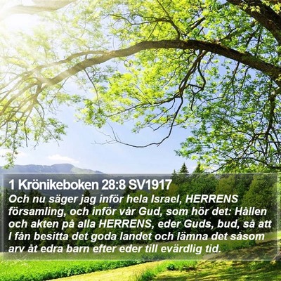 1 Krönikeboken 28:8 SV1917 Bible Verse Image