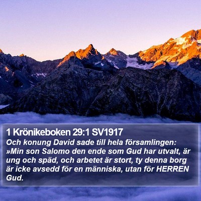 1 Krönikeboken 29:1 SV1917 Bible Verse Image