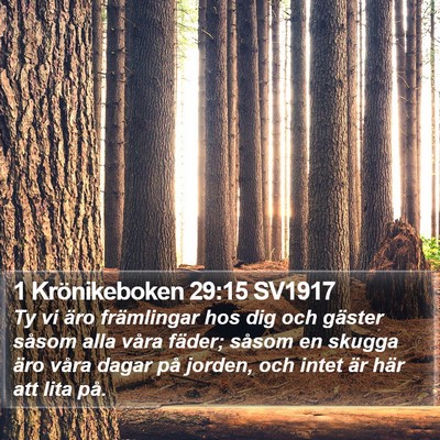 1 Krönikeboken 29:15 SV1917 Bible Verse Image