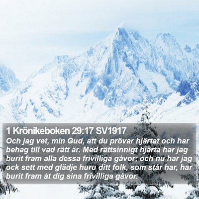 1 Krönikeboken 29:17 SV1917 Bible Verse Image