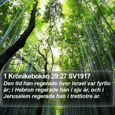 1 Krönikeboken 29:27 SV1917 Bible Verse Image