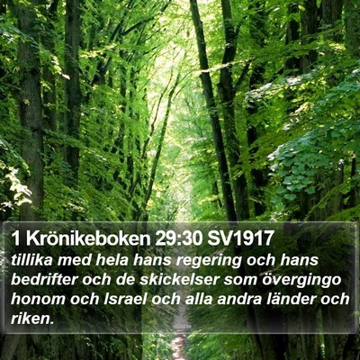 1 Krönikeboken 29:30 SV1917 Bible Verse Image