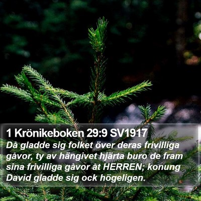 1 Krönikeboken 29:9 SV1917 Bible Verse Image