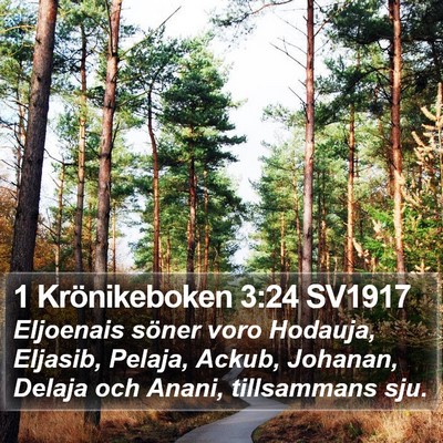 1 Krönikeboken 3:24 SV1917 Bible Verse Image