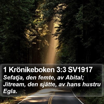 1 Krönikeboken 3:3 SV1917 Bible Verse Image