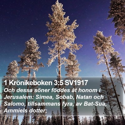 1 Krönikeboken 3:5 SV1917 Bible Verse Image