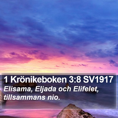 1 Krönikeboken 3:8 SV1917 Bible Verse Image