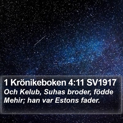 1 Krönikeboken 4:11 SV1917 Bible Verse Image