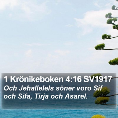 1 Krönikeboken 4:16 SV1917 Bible Verse Image
