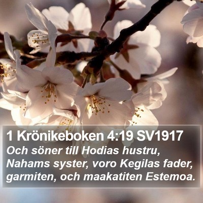 1 Krönikeboken 4:19 SV1917 Bible Verse Image