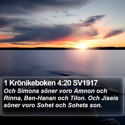 1 Krönikeboken 4:20 SV1917 Bible Verse Image