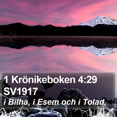 1 Krönikeboken 4:29 SV1917 Bible Verse Image