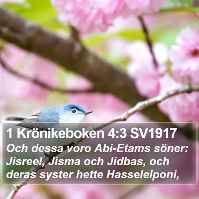 1 Krönikeboken 4:3 SV1917 Bible Verse Image