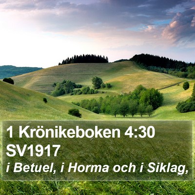 1 Krönikeboken 4:30 SV1917 Bible Verse Image