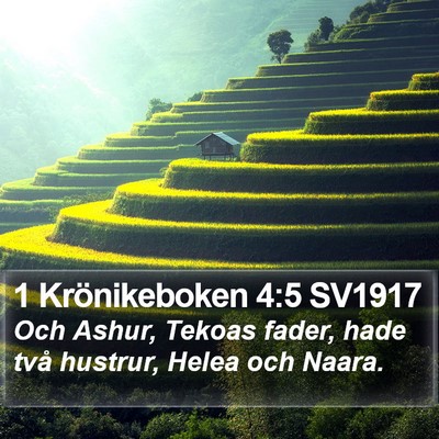 1 Krönikeboken 4:5 SV1917 Bible Verse Image