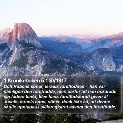 1 Krönikeboken 5:1 SV1917 Bible Verse Image