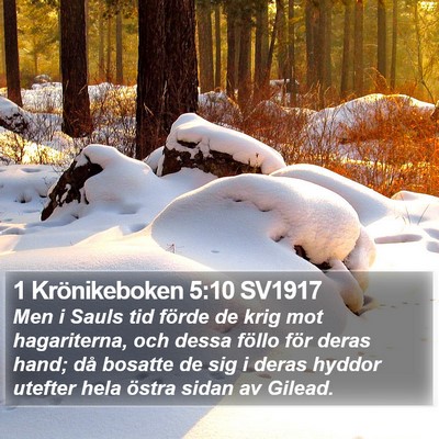 1 Krönikeboken 5:10 SV1917 Bible Verse Image