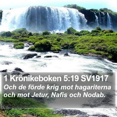 1 Krönikeboken 5:19 SV1917 Bible Verse Image
