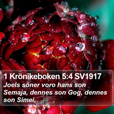 1 Krönikeboken 5:4 SV1917 Bible Verse Image