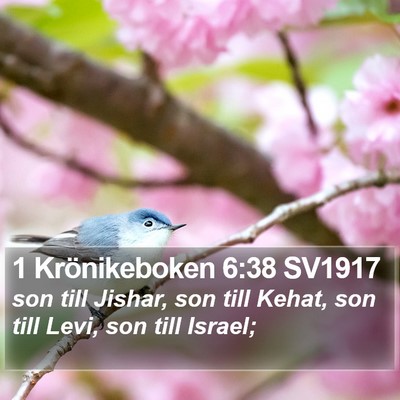 1 Krönikeboken 6:38 SV1917 Bible Verse Image