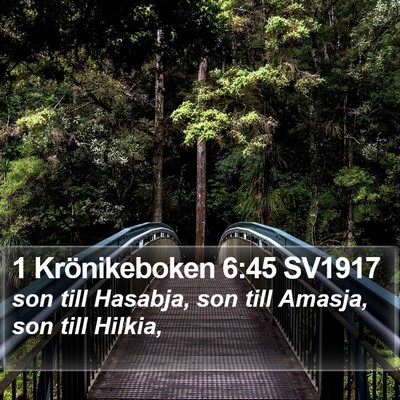 1 Krönikeboken 6:45 SV1917 Bible Verse Image