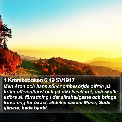 1 Krönikeboken 6:49 SV1917 Bible Verse Image