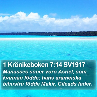 1 Krönikeboken 7:14 SV1917 Bible Verse Image