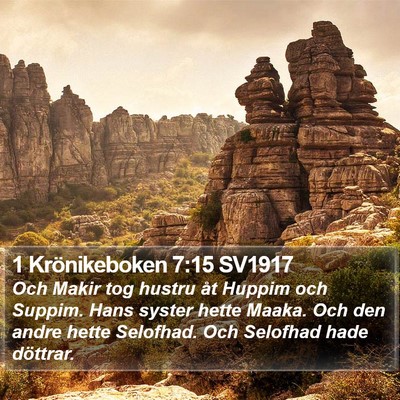 1 Krönikeboken 7:15 SV1917 Bible Verse Image