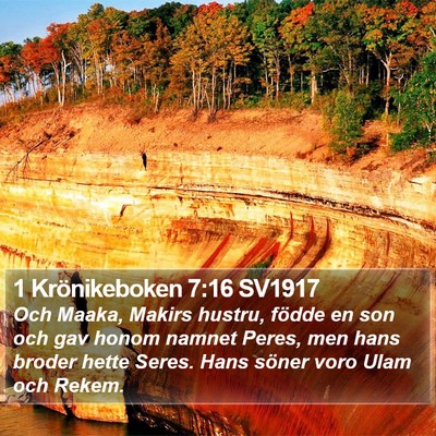 1 Krönikeboken 7:16 SV1917 Bible Verse Image