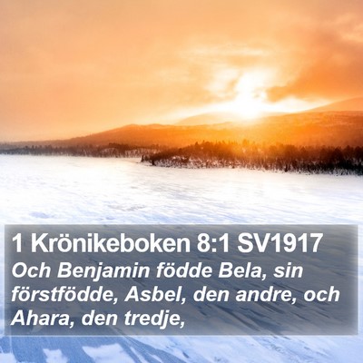1 Krönikeboken 8:1 SV1917 Bible Verse Image