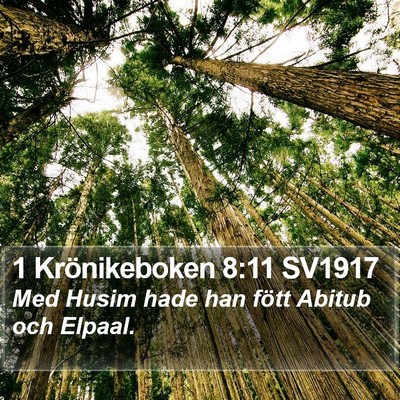1 Krönikeboken 8:11 SV1917 Bible Verse Image
