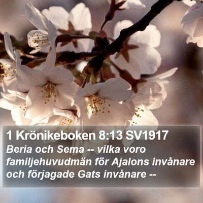 1 Krönikeboken 8:13 SV1917 Bible Verse Image