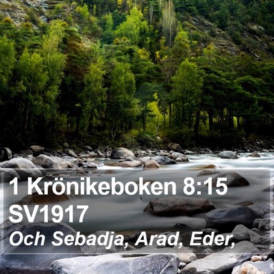1 Krönikeboken 8:15 SV1917 Bible Verse Image