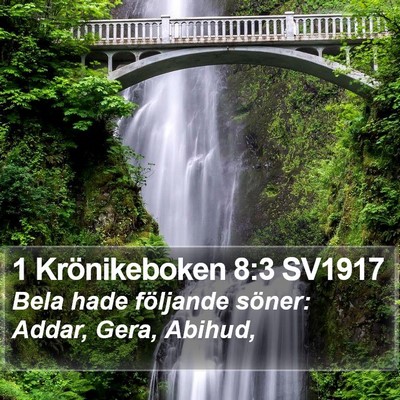1 Krönikeboken 8:3 SV1917 Bible Verse Image